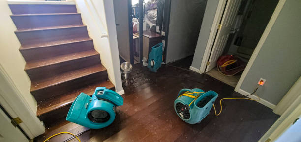 Best Water damage restoration near me  in Erie, CO