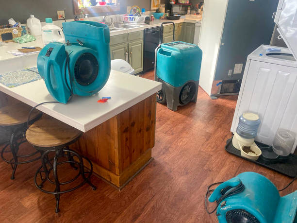Best Carpet water damage restoration  in Erie, CO