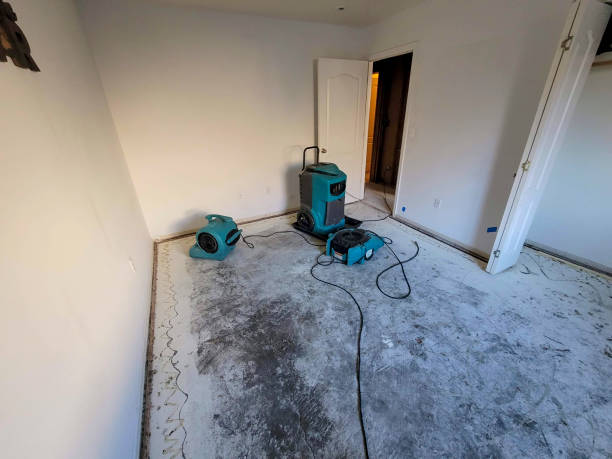 Best Basement water damage restoration  in Erie, CO