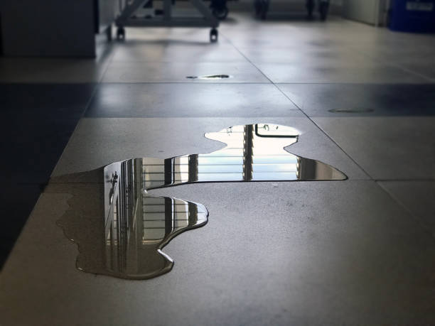 Best Water damage contractors near me  in Erie, CO