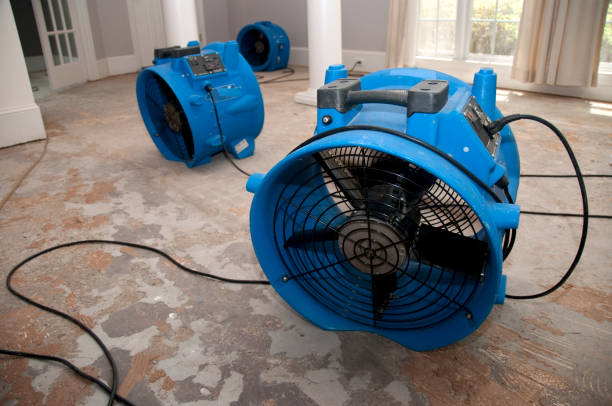 Water damage restoration mold remediation in Erie, CO