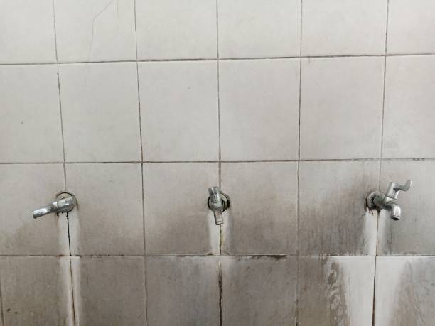 Best Professional water damage repair  in Erie, CO