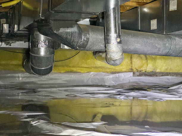Best Residential water damage restoration  in Erie, CO