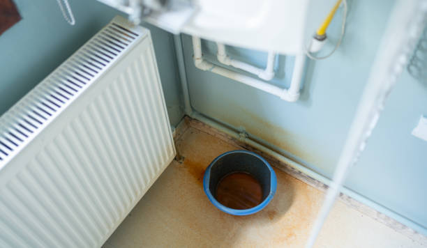 Best Water damage cleanup near me  in Erie, CO