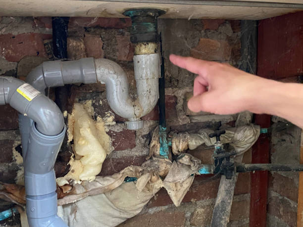 Best Ceiling water damage repair  in Erie, CO