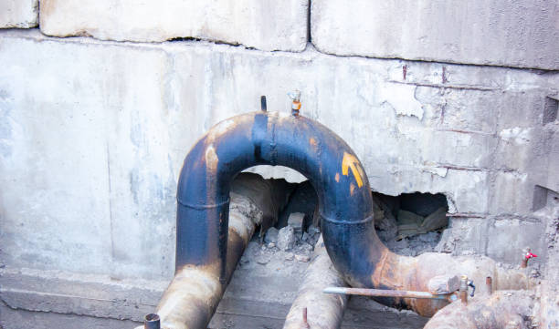 Best Professional water damage repair  in Erie, CO