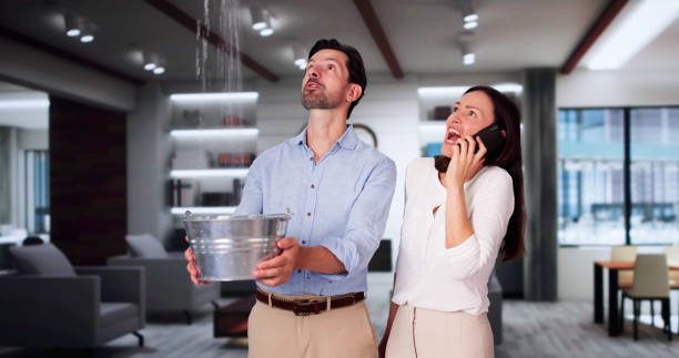 Professional Water damage restoration in Erie, CO