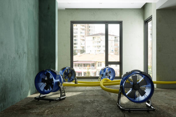 Best Water damage restoration specialists  in Erie, CO